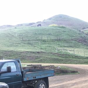 Meet your Posher, Dylan